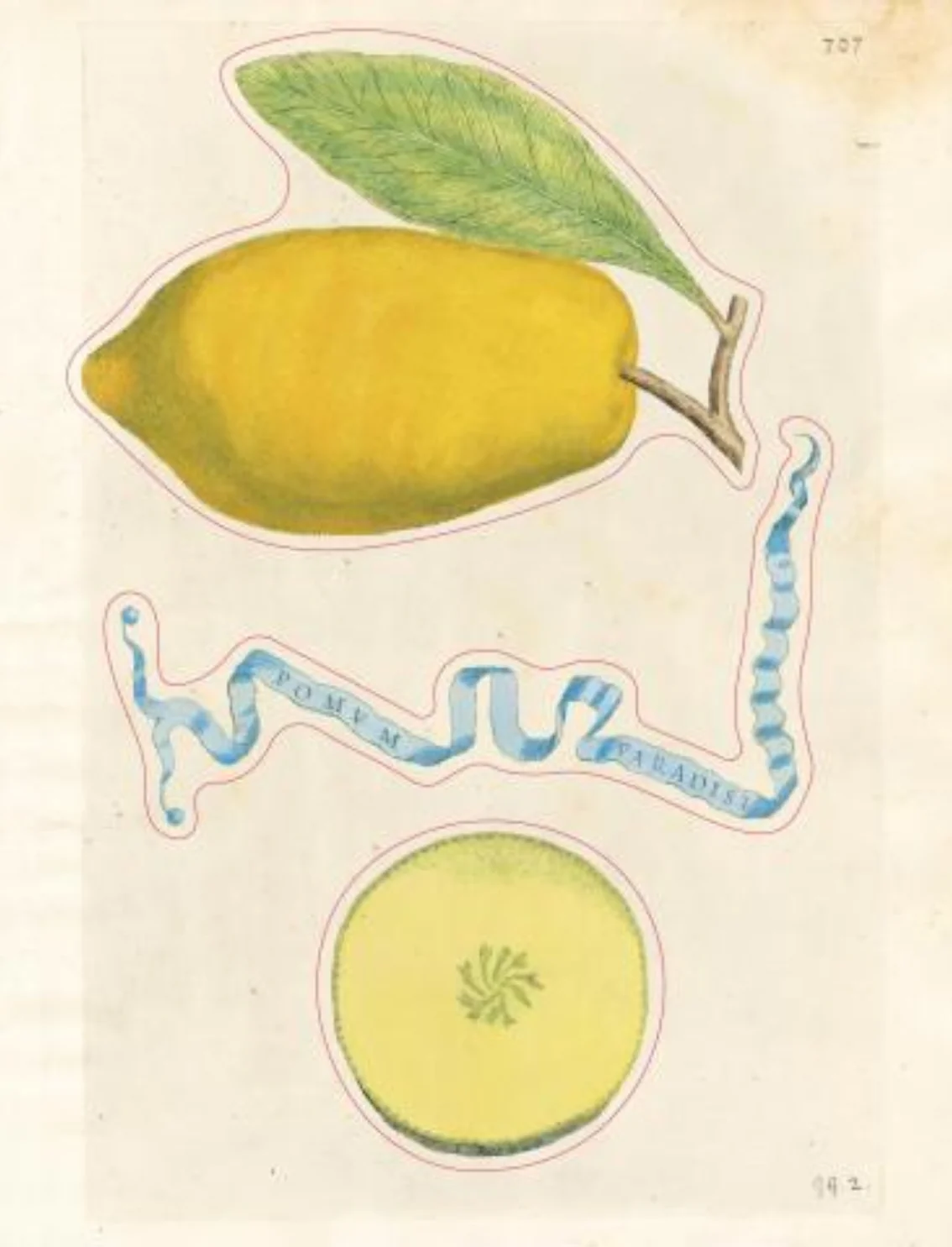 תמונת מוצר 5