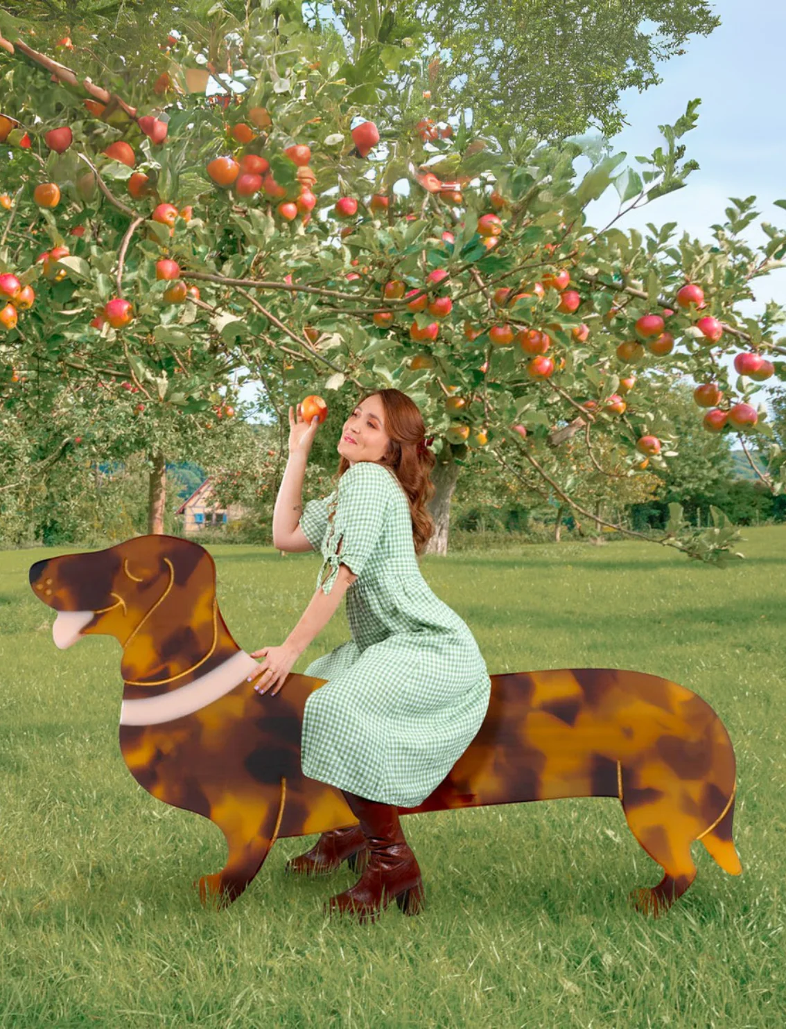 תמונת מוצר 7