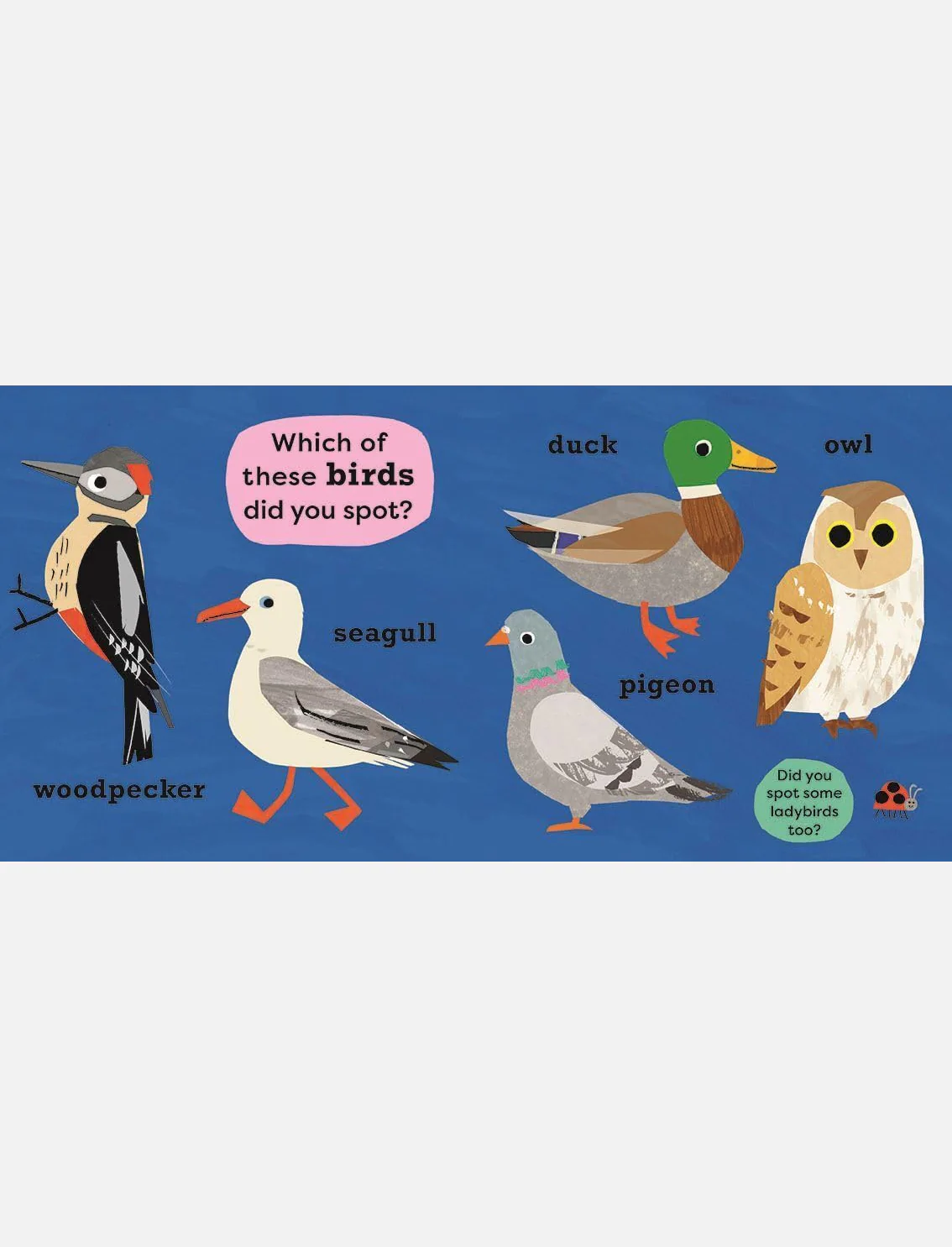 תמונת מוצר 6
