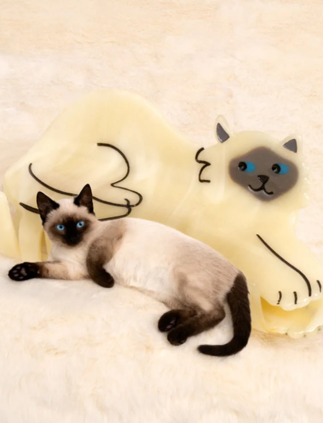 תמונת מוצר 8