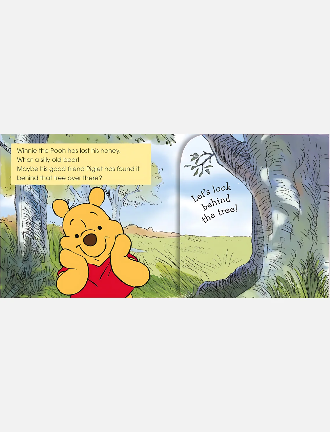 תמונת מוצר 6