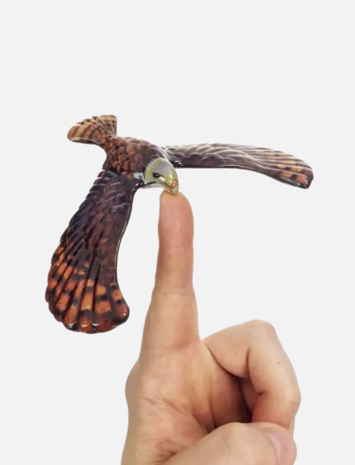 תמונה ממוזערת 2