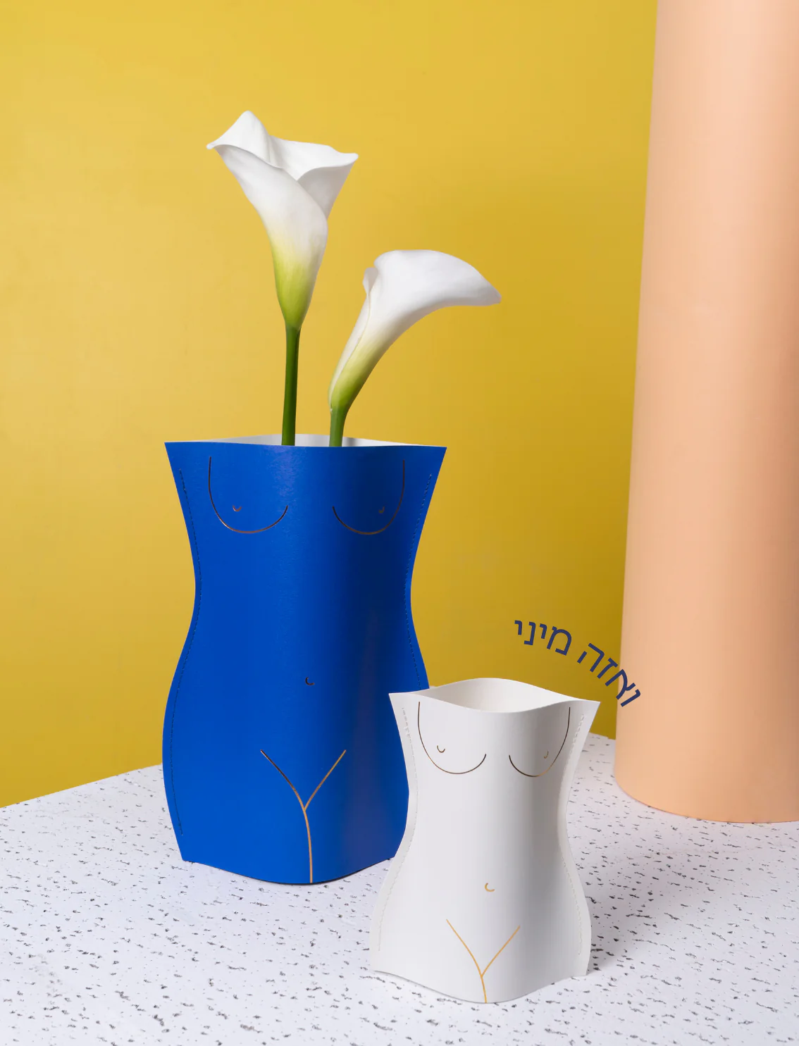 תמונה ממוזערת 2